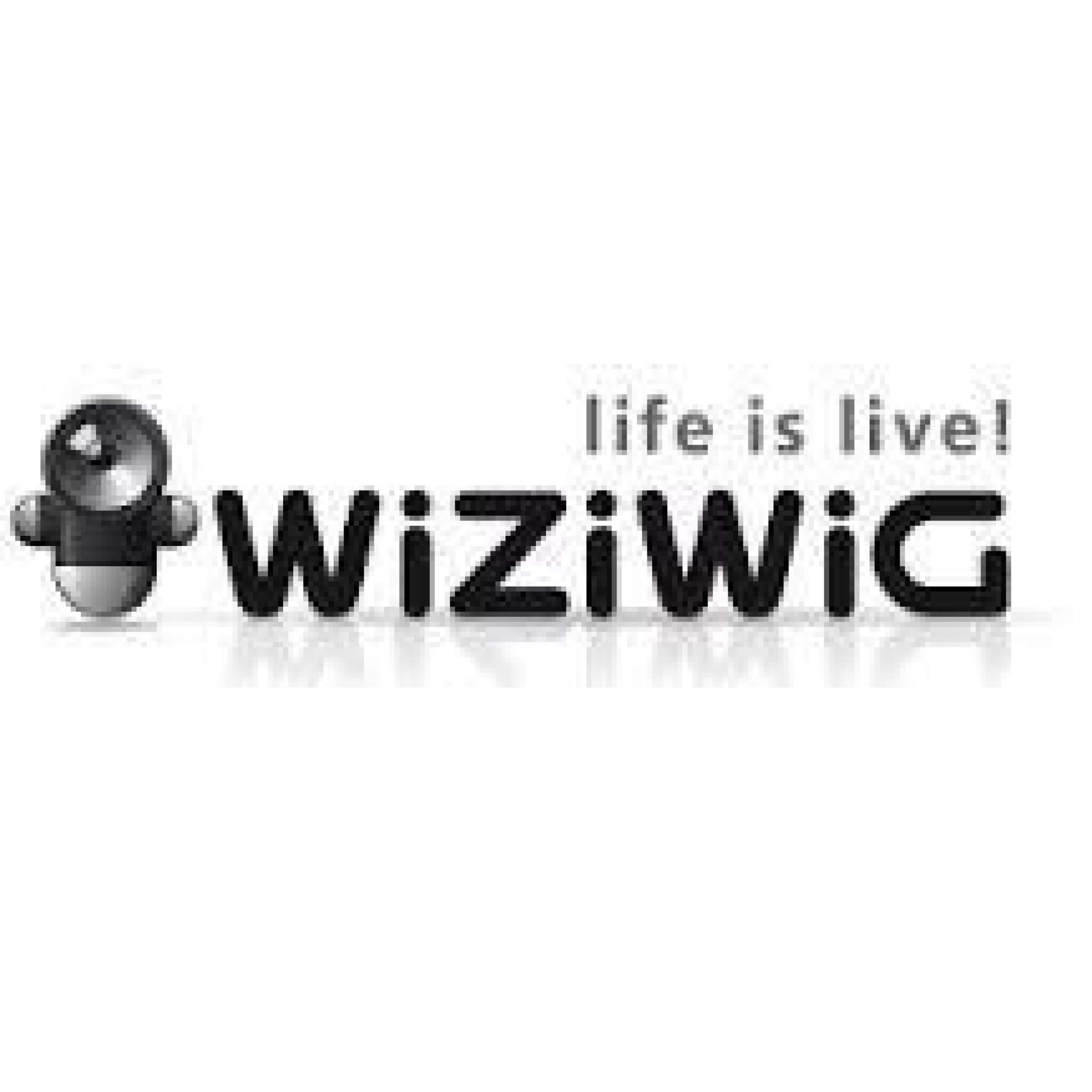 wiziwig tv review