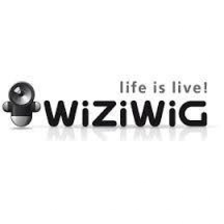 wiziwig tv golf